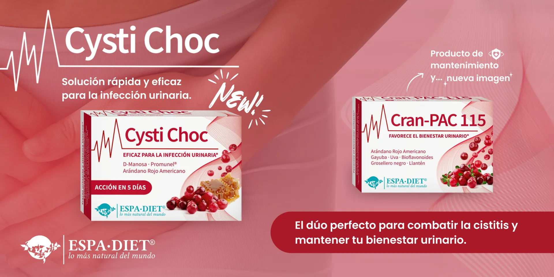 Cysti Choc